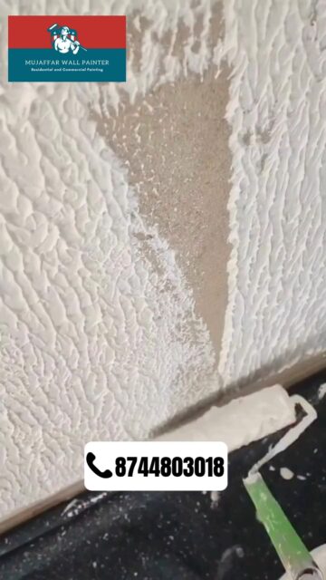 Looking for the best house painter in Faridabad?
Here’s a quick look at the trending wall color combinations for 2025 that can completely transform your home.
From smooth textures to premium shade finishes, our team at Mujaffar Wall Painting Service in Faridabad helps you choose the perfect colors for every room.✨ Modern Living Room Colors
✨ Trending Bedroom Shades
✨ Premium Finish Options
✨ Perfect for New Homes & RenovationIf you want a fresh look for your home, message us today.
Top-rated home painters in Faridabad | Interior & Exterior Painting Experts#BestPainterInFaridabad #HomePaintingFaridabad #InteriorPainting #WallColorCombination #HousePainterNearMe #FaridabadHomes #RoomMakeover #PaintingServiceFaridabad #MujaffarPaintingService #2025HomeTrends